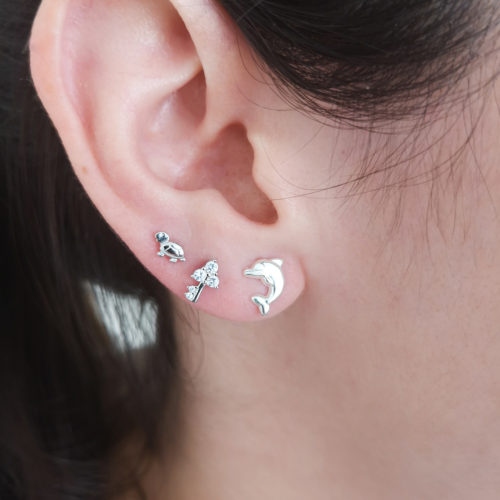 Pendientes de Plata Brisa Diseño Delfín
